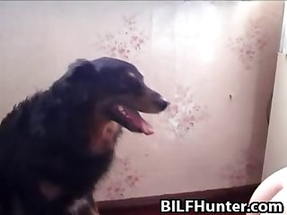 Dog Porn Comp