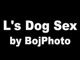 Dog Fucke Girl Porn