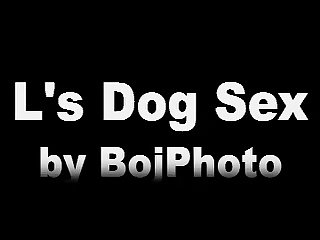 Dog Fucke Girl Porn