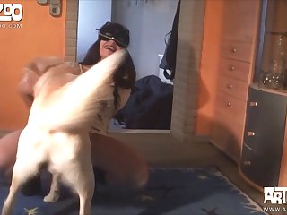 Dog Fuck Reddit