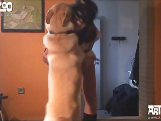 Dog Fuck Reddit