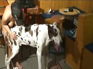 Knotty Fuck Dog