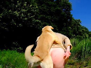 Streamer Fuck Dog