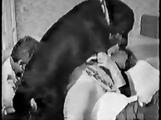 Sex Female And Animal