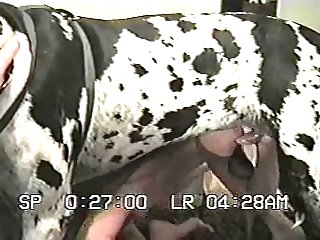 Zoofilia Homens E Animais