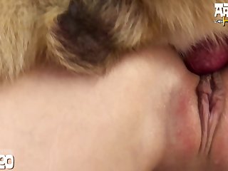 Porn Horse Full