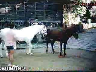 Girl And Dog Cum Porn