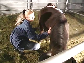 Woman Riding Her Dog Porn
