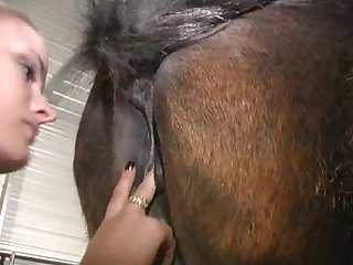 Woman Riding Her Dog Porn
