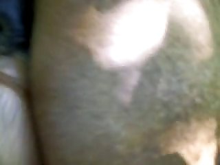 Animal Sex Porno Video