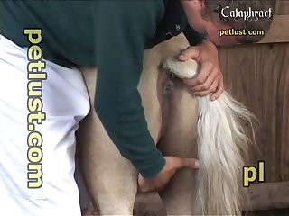 Vomit Scat Porn