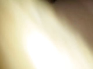 Porn In Dog