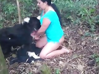 Lick Horse Porn