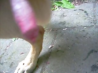 Zoofilia Duro