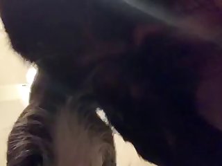 Zoo Porn Busty