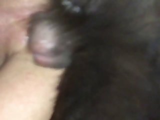 Dog Kisses Porn