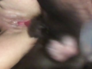 Dog Kisses Porn