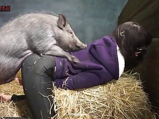 Zoofilia Videos Xx