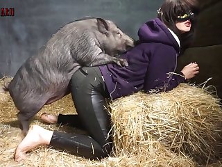 Zoofilia Videos Xx