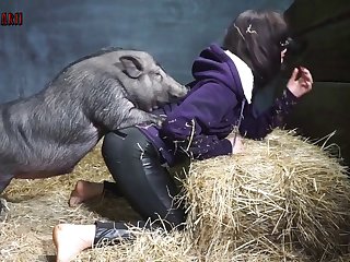 Zoofilia Videos Xx