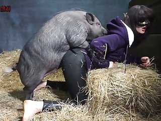 Horse Massage Porn