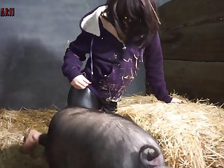 Horse Massage Porn