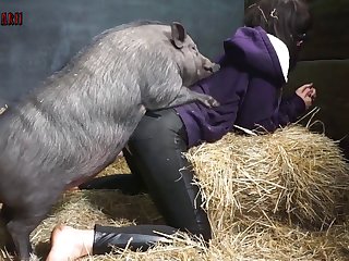 Horse Massage Porn