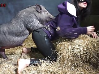 Horse Massage Porn