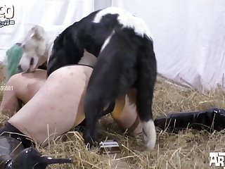 K9 Lady Zoo Porn