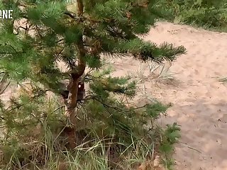 Snake And Horse Porn