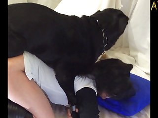 Dog Mating Porn Comic