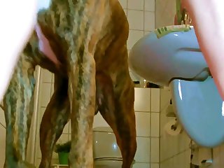 Wife First Time Fuck Dog
