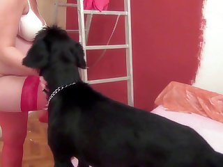 Guy Lets His Dog Fuck Him