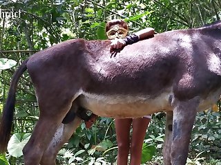 Dog Eat Girl Pussy Porn