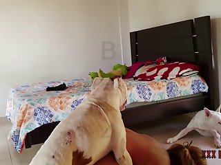 Zoofilia Yegua Con Hombre