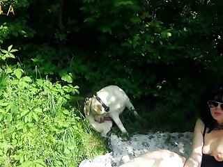 Dog Surprise Porn