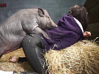 Animal Crossing Egypt Cat Sex