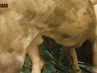 Zoofilia Horse Man