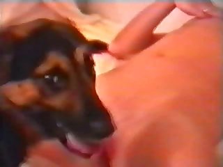 Zoofilia Por