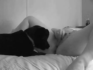 Videos Zoofilia Con Perros