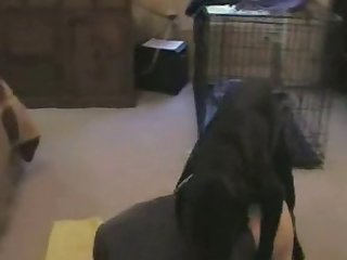 Bonnie Blue Zoo Porn Video