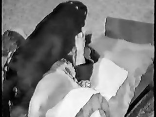 Slut Dog Porn