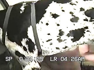Woman Have Sex With Dog Porn
