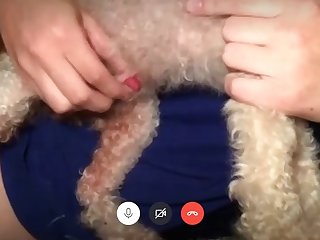 Porn Video Hd Animal