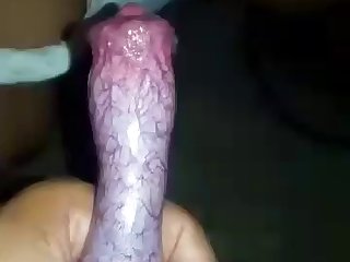 Animal Transformation Porn