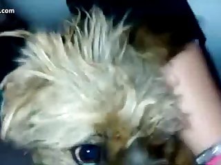 Hd Animal Porn Vedio