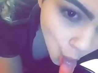 Animal With Porn Videos