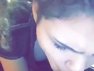 Animal With Porn Videos