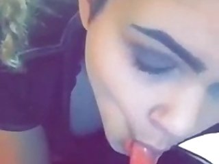 Animal With Porn Videos