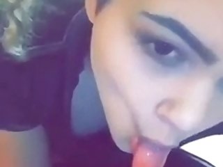 Animal With Porn Videos